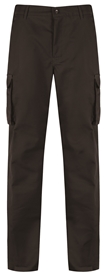 Picture of Cargo Trouser